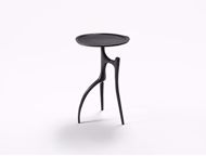 Picture of BRANCHE TABLE