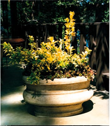 Picture of GLOCESTERSHIRE PLANTER