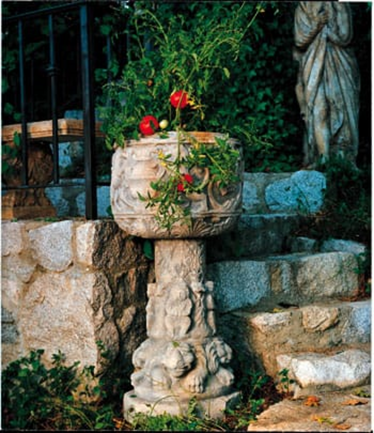 Picture of ISTRIAN BOWL ON COLUMN