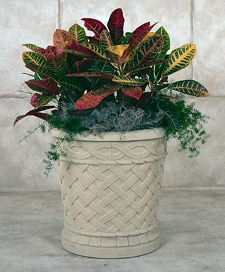 Picture of PROVENCE PLANTER