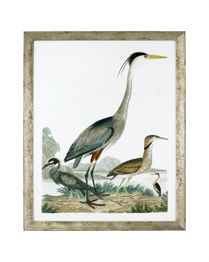 Picture of LARGE HERON FAMILY I