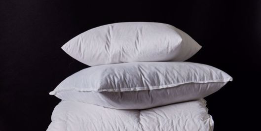 Picture of Pillow Inserts N/A 12" x 25"
