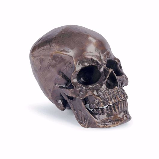 Picture of METAL SKULL