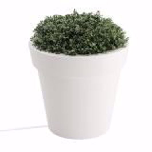 Picture of PLANTER, SMALL, LIGHTED, TERA