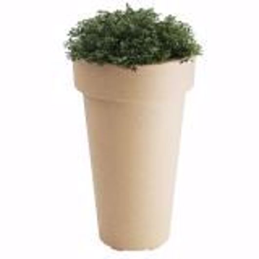 Picture of PLANTER, LARGE, TERA
