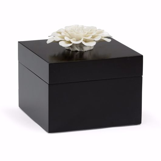 Picture of ZINNIA BOX