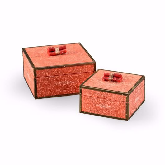 Picture of CORAL BOXES - CORAL (S2)