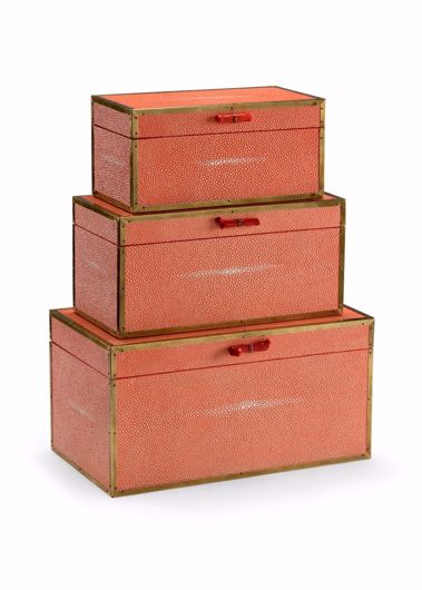 Picture of COUSTEAU BOXES - CORAL (S3)