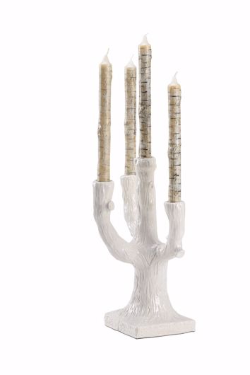 Picture of FAUX BOIS CANDELABRA - WHITE
