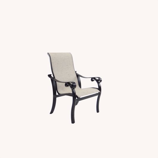 Picture of BELLANOVA SLING DINING CHAIR