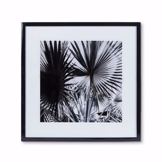Picture of BLACK & WHITE PALM LEAF