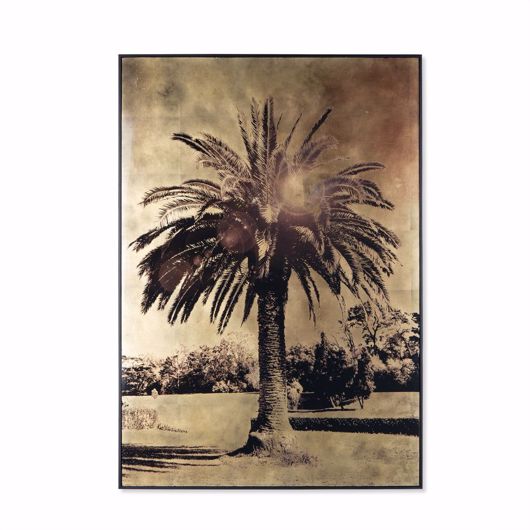 Picture of GOLD LEAF PALM TREE
