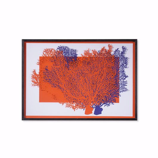Picture of RED & BLUE CORAL