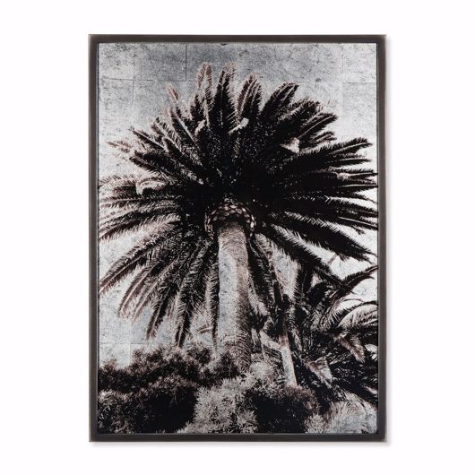 Picture of VENICE PALM TREES - SIVER LEAF