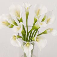 Picture of WHITE CALLA LILIES IN GLASS VASE