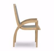 Picture of LUNA DINING CHAIR