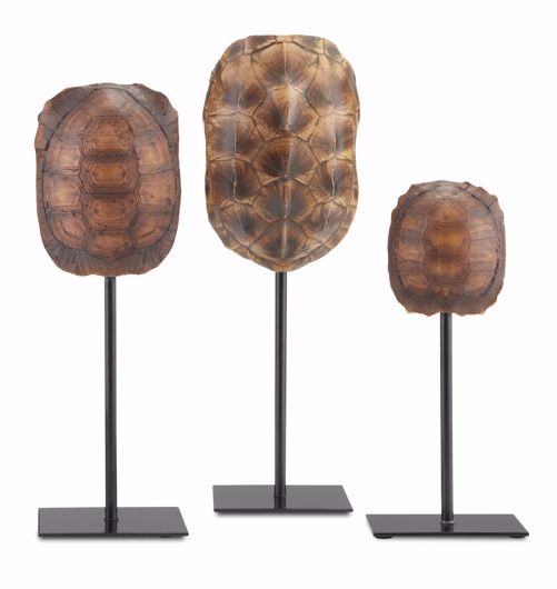 Picture of TURTLE SHELLS SET OF 3