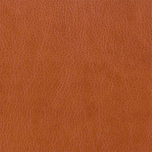 Picture of 255-077 LEATHER