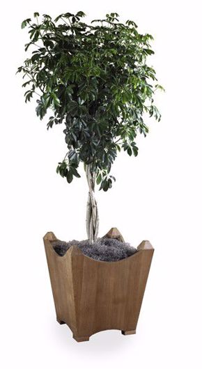 Picture of WOODSIDE PLANTER
